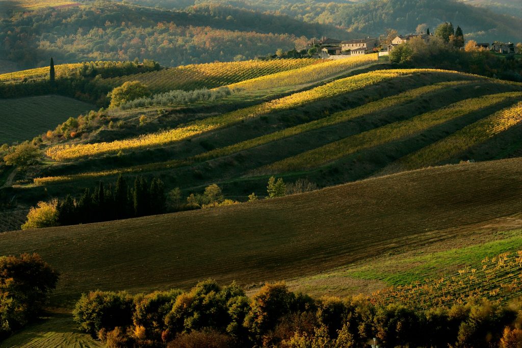 Chianti Region italy