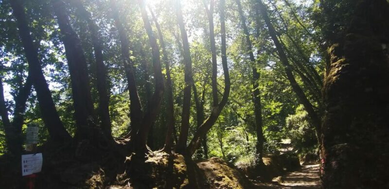 13 Things to do in Portofino, Italy 11 Portofino Regional Natural Park