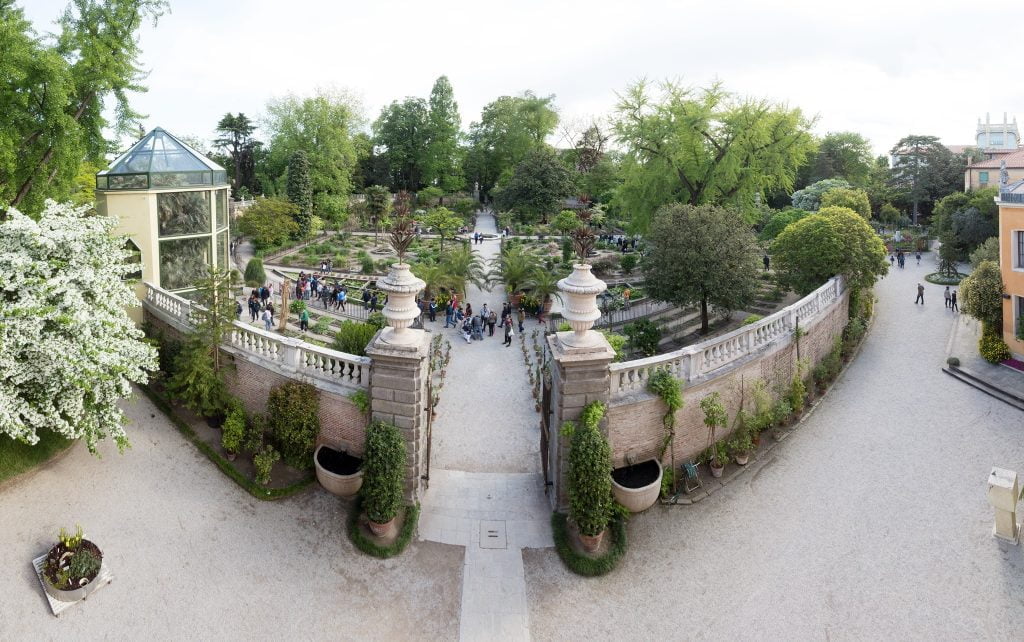 12 Best Things to Do Padua, Italy 6 Botanical Garden of Padua