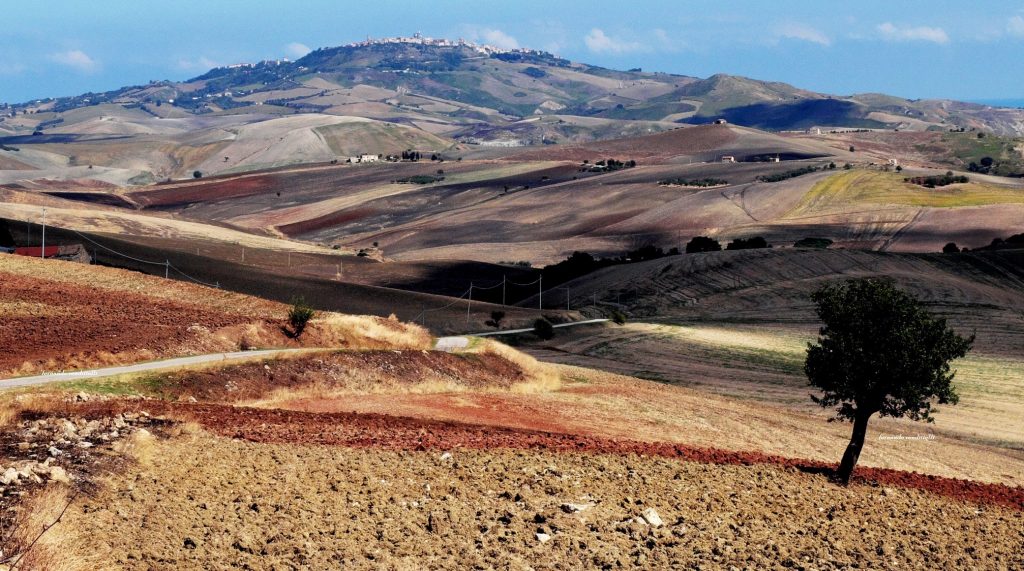 Guglionesi, Molise, Italy