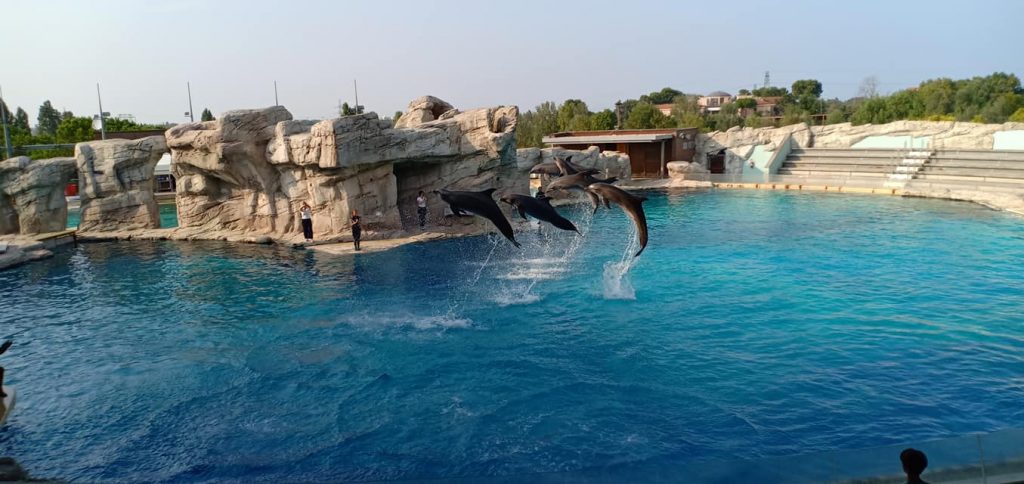 14 Best Things to Do in Rimini, Italy 12 "Oltremare" Aquarium
