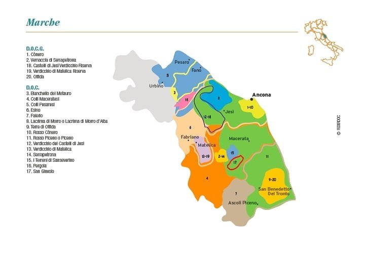 15 Best Wine Regions in Italy 6 Le Marche Region wines