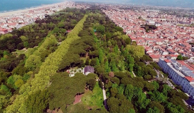 Pineta Di Ponente, Viareggio