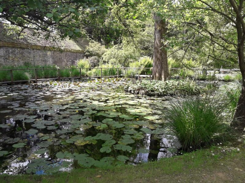 The Botanical Garden of Lucca 