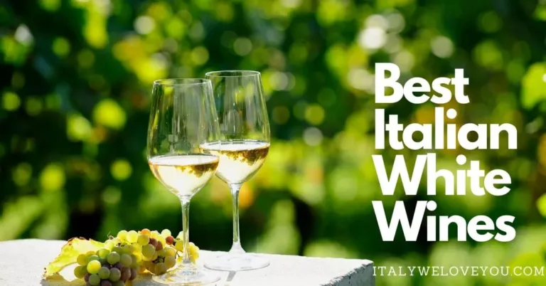 Best Italian White Wines