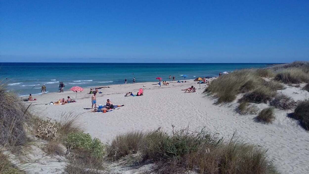 13 Most Beautiful Beaches in Puglia, Italy 12 Torre Guaceto, Puglia