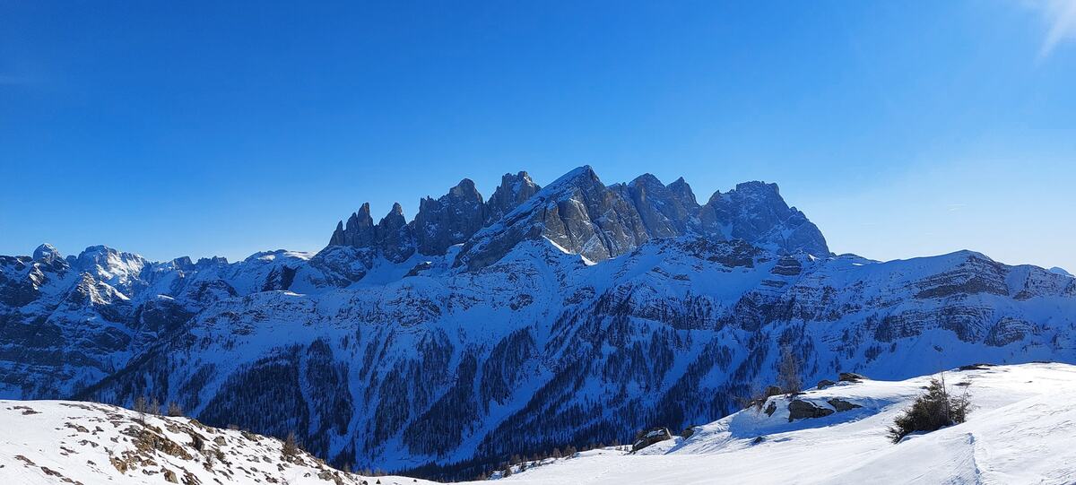 12 Best Hiking Trails in the Dolomites, Italy 8 Pale di San Martino