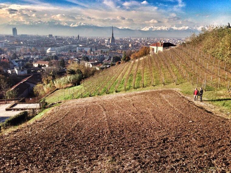 Azienda Vitivinicola Balbiano