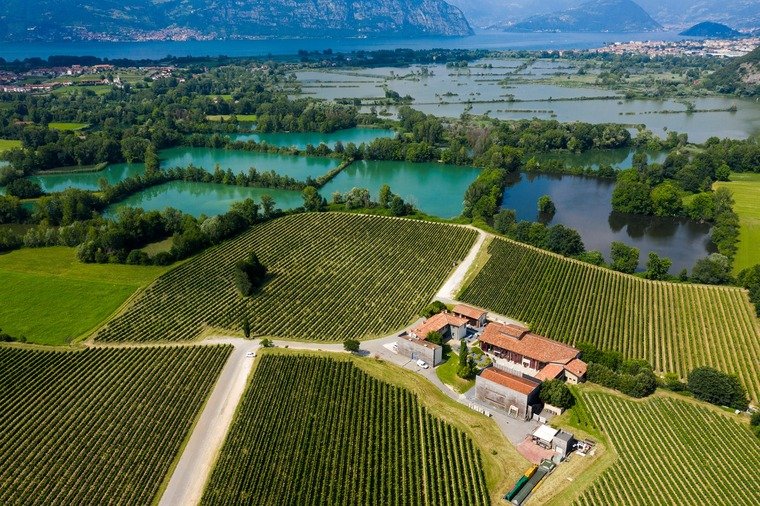 Bersi Serlini winery, Franciacorta