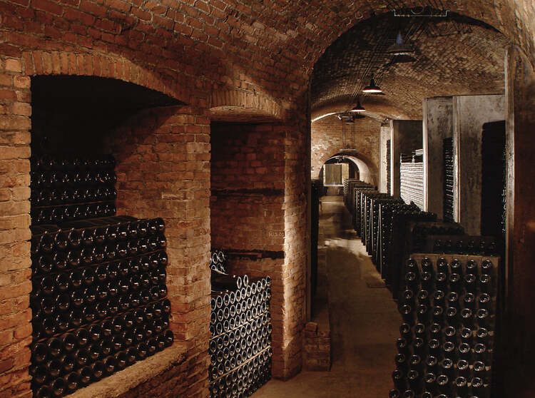 13 Best Wineries to Visit in Piedmont, Italy 10 Coppo wine Cellars
