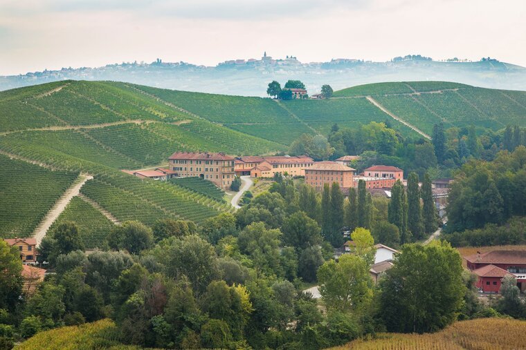 Fontanafredda winery, Piedmont