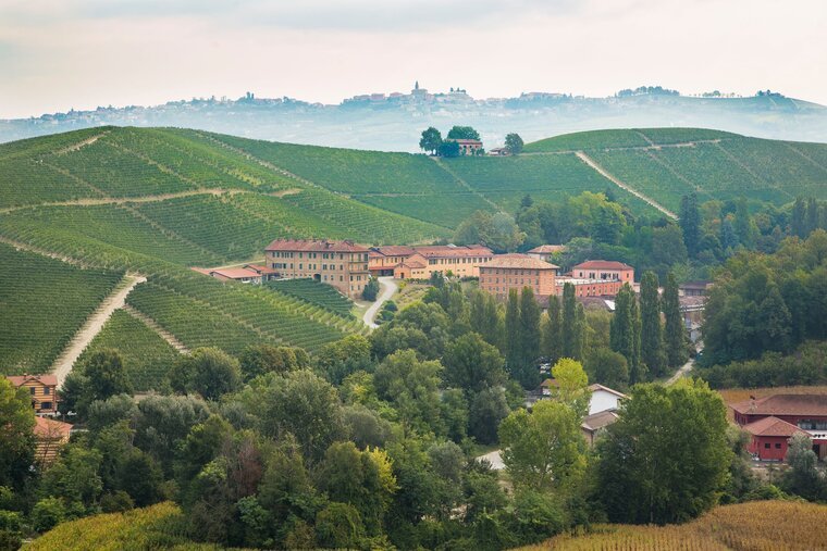 13 Best Wineries to Visit in Piedmont, Italy 6 Fontanafredda winery, Piedmont