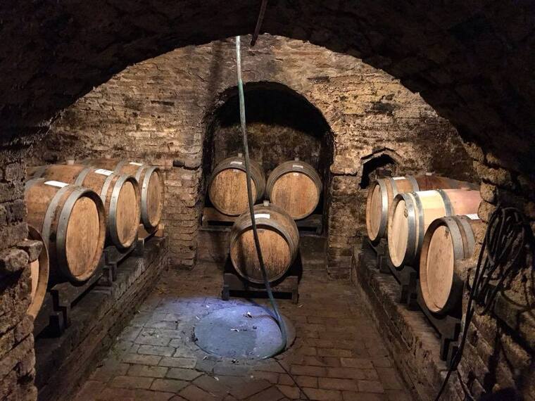 Glicine Winery