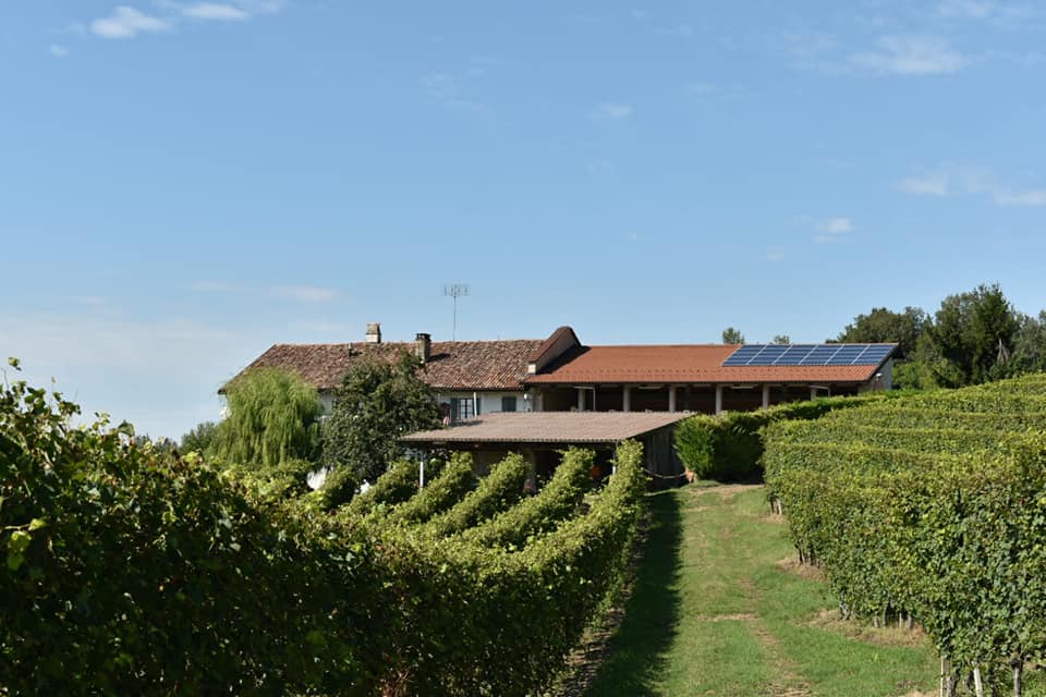 13 Best Wineries to Visit in Piedmont, Italy 14 Tenuta del Barone