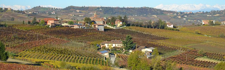 13 Best Wineries to Visit in Piedmont, Italy 12 tenuta dei fiori winery