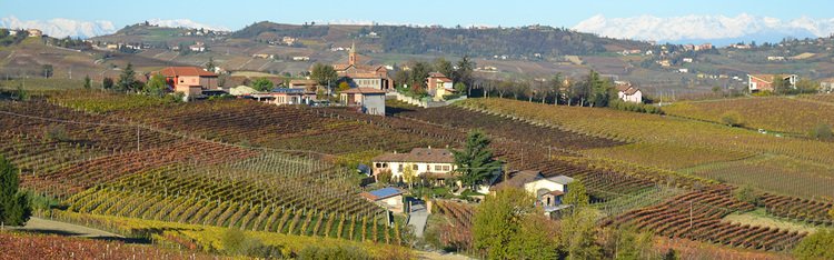 tenuta dei fiori winery