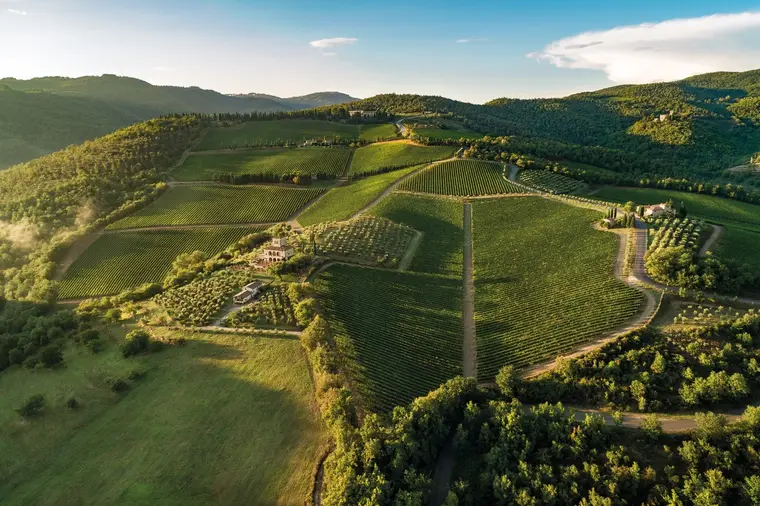 Castello di Albola , Chianti