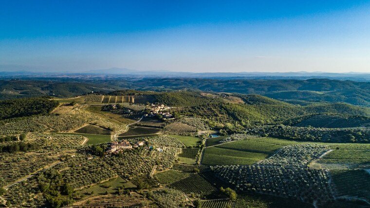 Castello di Ama, Chianti 