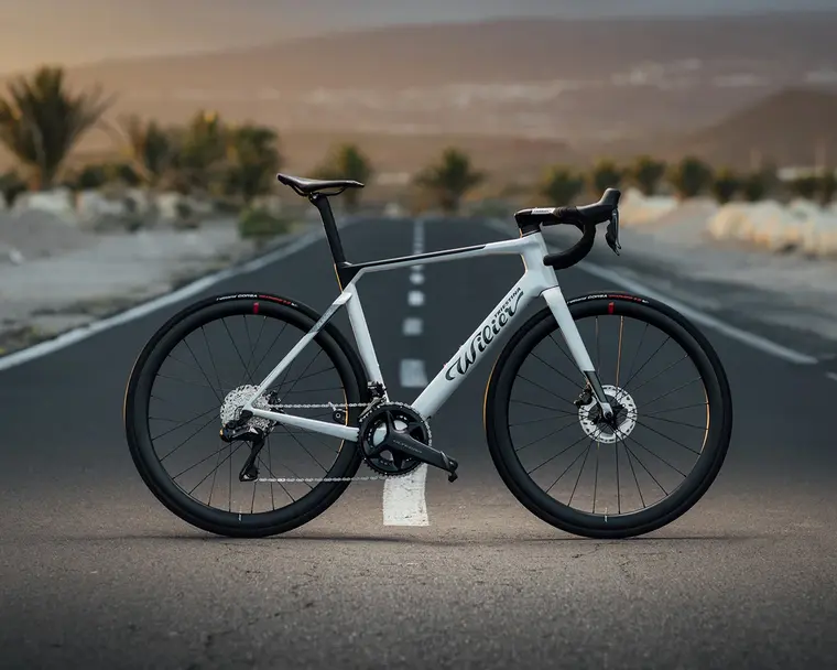 Wilier Triestina Bike